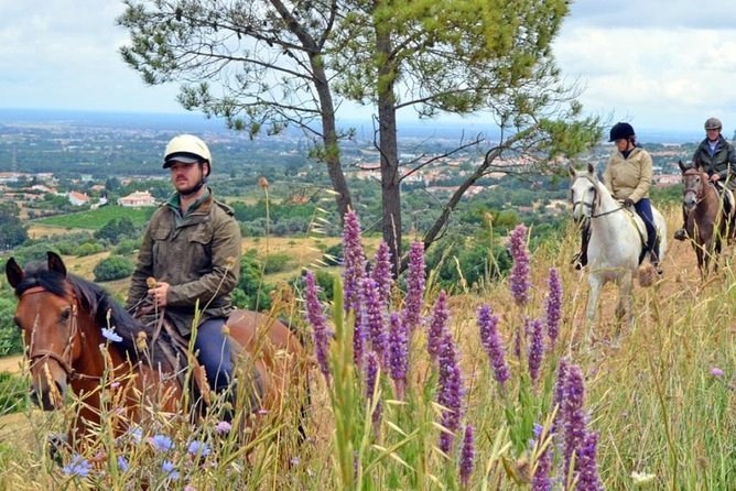 Horseback Riding In Lisbon - Arrábida - Louro Trail Mountain 5 - 6 Hours - Lunch and wine at Quinta de Alcube