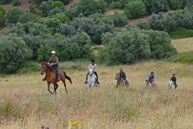 Horseback Riding In Lisbon - Arrábida - Louro Trail Mountain 5 - 6 Hours - Transport and the Palmela meeting point