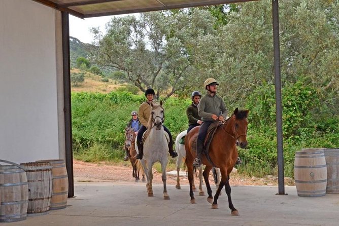 Horseback Riding In Lisbon - Arrábida - Louro Trail Mountain 5 - 6 Hours - Weather, cancellations, and booking timing
