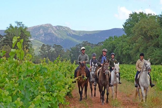 Horseback Riding In Lisbon - Arrábida - Louro Trail Mountain 5 - 6 Hours - Views across the Alcube Valley
