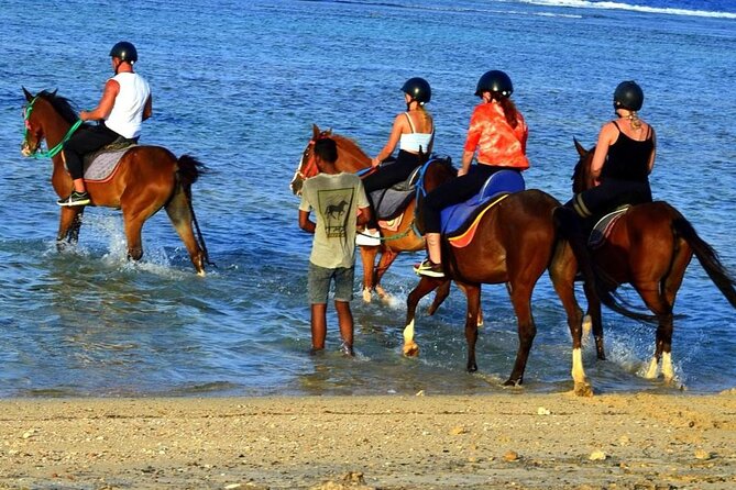 Horseback riding in Marsa Alam and Port Ghalib - The unusual finish, walking with the horses in the Red Sea