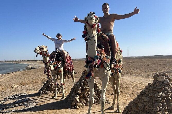 Horseback riding in Marsa Alam and Port Ghalib - Morning riding or a late-afternoon sunset program