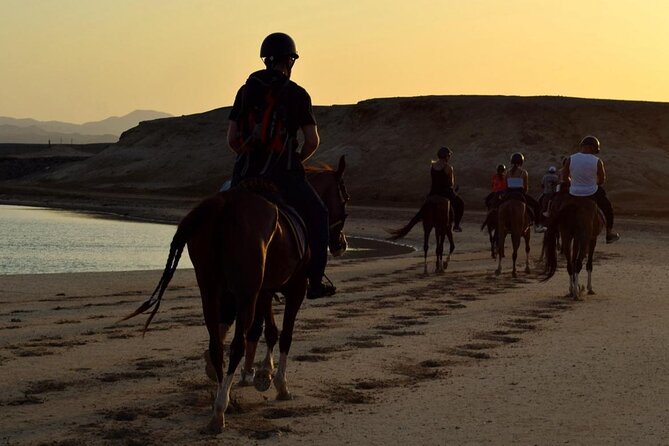 Horseback riding in Marsa Alam and Port Ghalib - What the $58.61 price includes