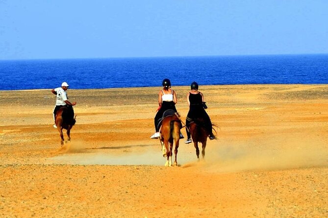 Horseback riding in Marsa Alam and Port Ghalib - Animal care and the human side of the visit