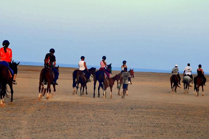 Horseback riding in Marsa Alam and Port Ghalib - Riding through the Marsa Alam desert