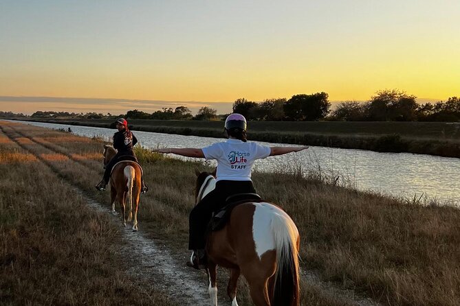 Horseback Riding in Miami - Arriving at Horse Life Miami Equestrian Center