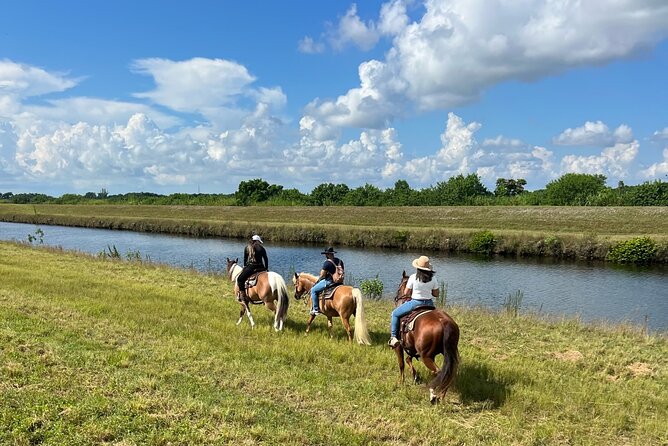 Horseback Riding in Miami - A private ride, but not necessarily a secluded one