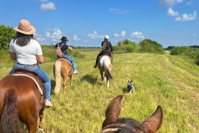 Horseback Riding in Miami - Photos and the small personal touches