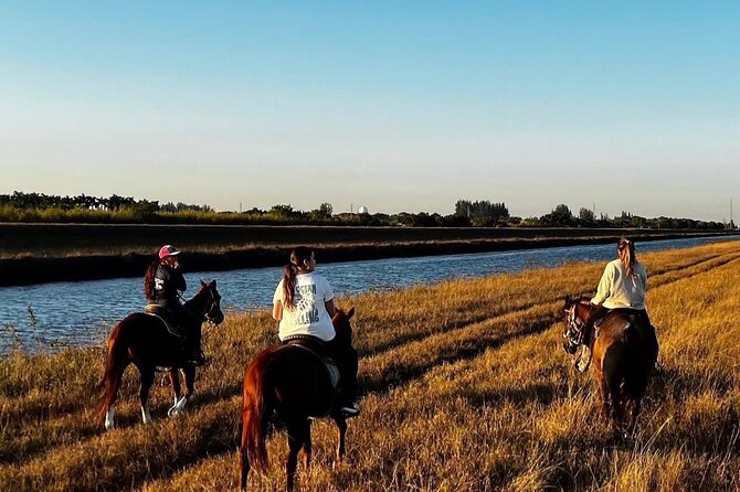 Horseback Riding in Miami - Meeting the horses and learning the basics