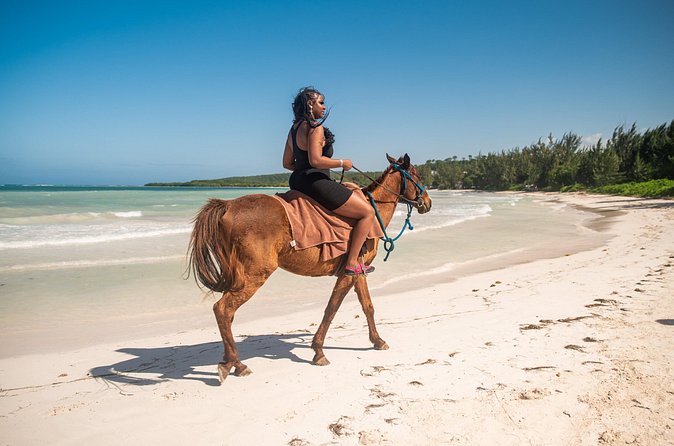 Horseback Riding in Montego Bay - Who should book this experience?