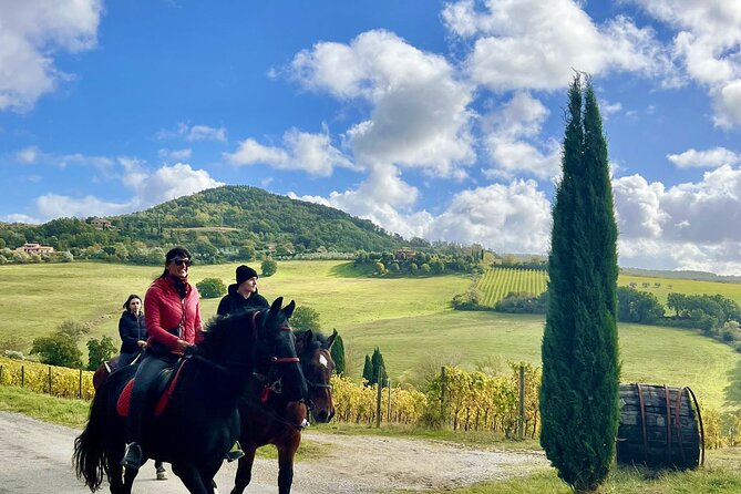 Horseback riding in Montepulciano Tuscany, lunch on the farm - Key points to know before you book