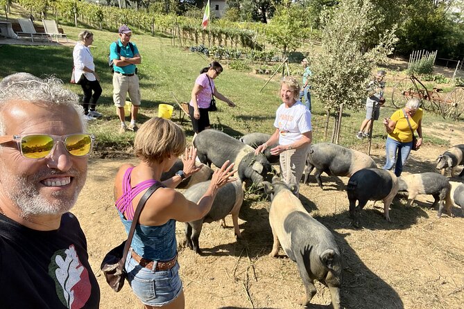 Horseback riding in Montepulciano Tuscany, lunch on the farm - Meeting the Cinta Senese pigs after the ride
