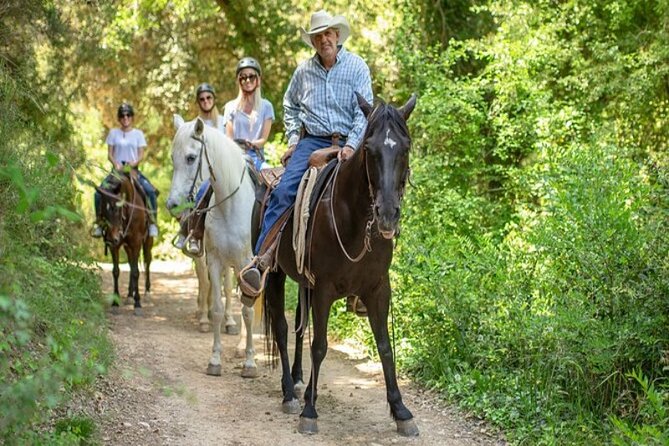 Horseback Riding in Montserrat Mountain Natural Park, Barcelona - 1 to 2 hrs - Riding beneath the Montserrat views