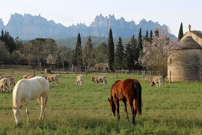 Horseback Riding in Montserrat Mountain Natural Park, Barcelona - 1 to 2 hrs - Practical details that affect your day