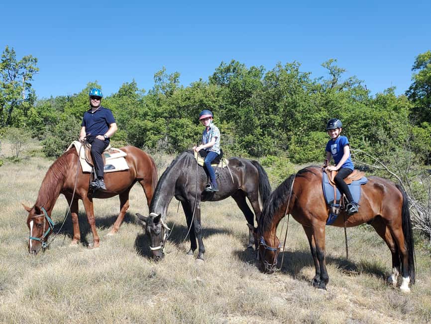Horseback riding in Provence Luberon - Jules makes the first ride easier