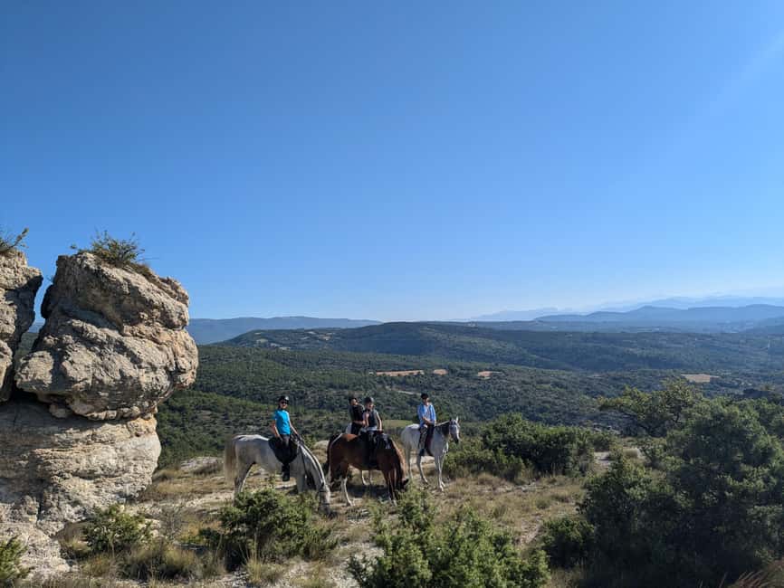 Horseback riding in Provence Luberon - The horse snack stop is more than a photo break