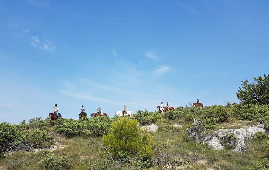 Horseback riding in Provence Luberon - Who should book this ride?