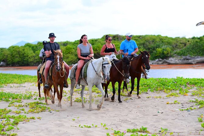 Horseback riding in punta cana beach and Bayahibe - Riding through the trees toward the coast