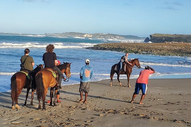 Horseback riding in punta cana beach and Bayahibe - Macao Beach after the trees