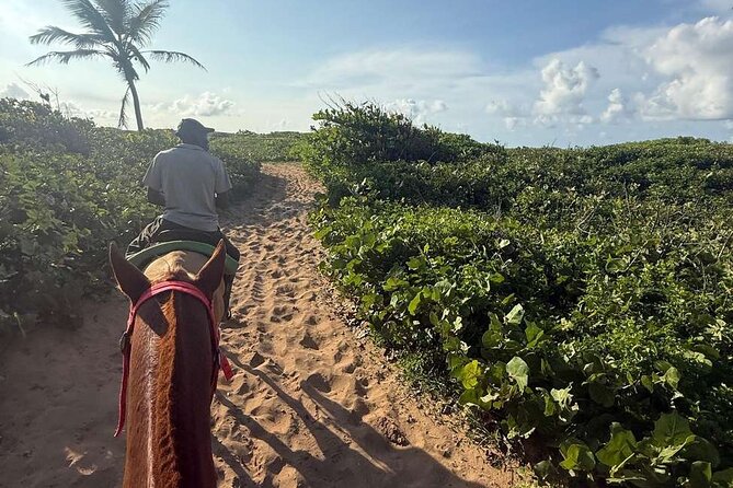 Horseback riding in punta cana beach and Bayahibe - Is this really a private horseback ride?