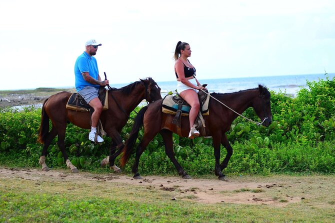 Horseback riding in punta cana beach and Bayahibe - What beginners should expect