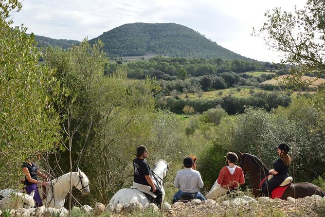 Horseback Riding in Randa Valleys, Mallorca, Spain - Grooming and first contact with the horse