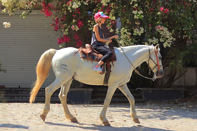 Horseback Riding in Sayulita - What the Sayulita horse ride is really like