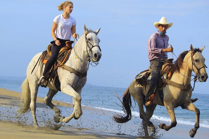 Horseback Riding in Sayulita Through Jungle Trails to the Beach - Starting at the ranch near Sayulita