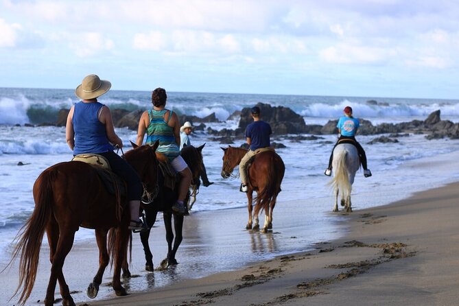 Horseback Riding in Sayulita Through Jungle Trails to the Beach - Horses, safety, and rider experience