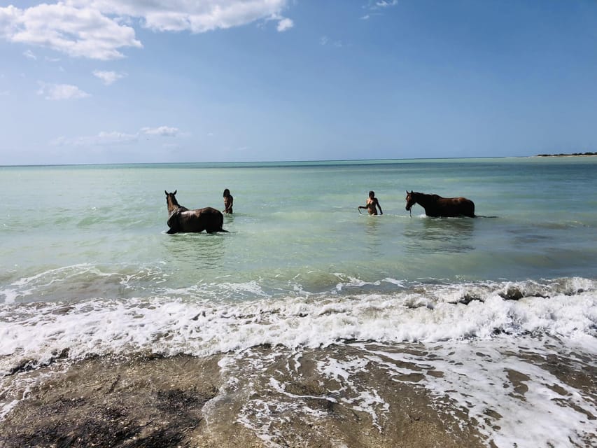 Horseback riding in the beaches of Sciacca - Communication, safety, and the guide