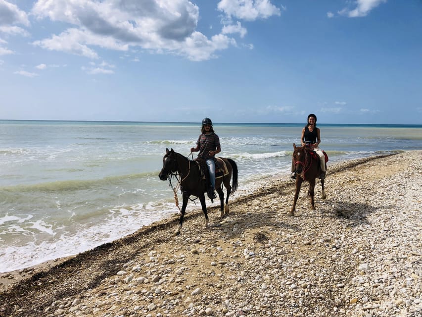 Horseback riding in the beaches of Sciacca - Who should book this Sciacca ride?
