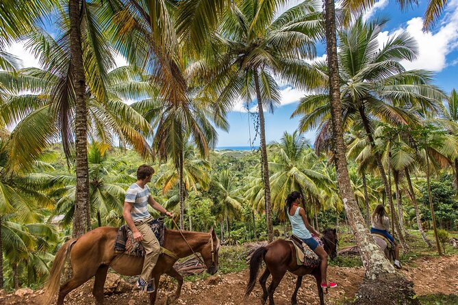 Horseback Riding in the Dominican Jungle - Key Points Before You Book