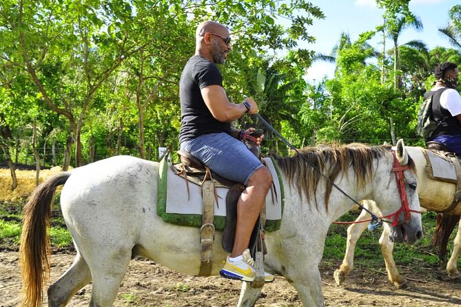 Horseback Riding in the Dominican Jungle - Price and What $69.99 Buys You