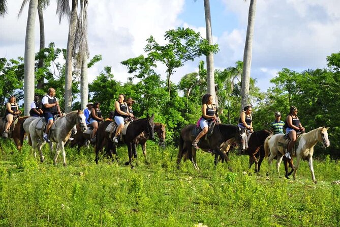 Horseback Riding in the Dominican Jungle - Food, Drinks, and Vegetarian Requests