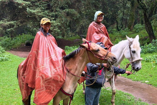 Horseback Riding in the Forest and Breakfast in Cabin - Why this outing works so well after city sightseeing