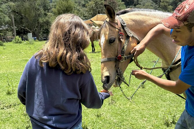Horseback Riding in the Forest and Breakfast in Cabin - What the $161.20 price really covers