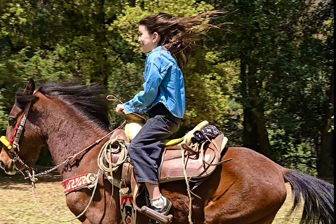 Horseback Riding in the Forest and Breakfast in Cabin - Weather, timing, and what to bring