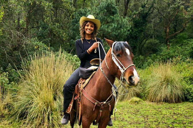 Horseback Riding in the Forest and Breakfast in Cabin - Starting at Fuente de Cibeles at 9 a.m.