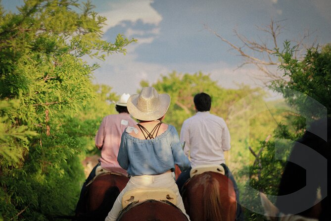 Horseback Riding in the Guanajuato Hills - The Views Above Guanajuato