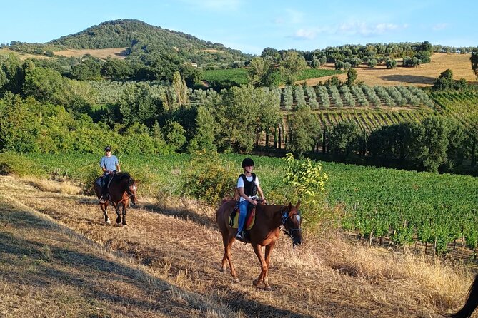 Horseback riding in the hills of Montepulciano in Tuscany - Quick points to know before booking