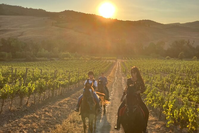 Horseback riding in the hills of Montepulciano in Tuscany - Starting at Fattoria Madonna della Querce