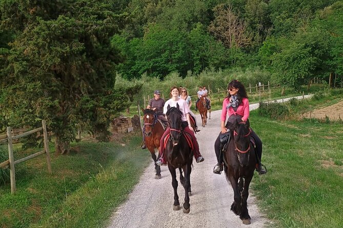 Horseback riding in the hills of Montepulciano in Tuscany - The farm animals add an unexpected bonus