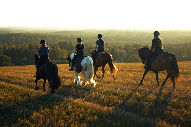 Horseback Riding in the Landscape - Arriving at Metsapiiga Talu near Jõgeva