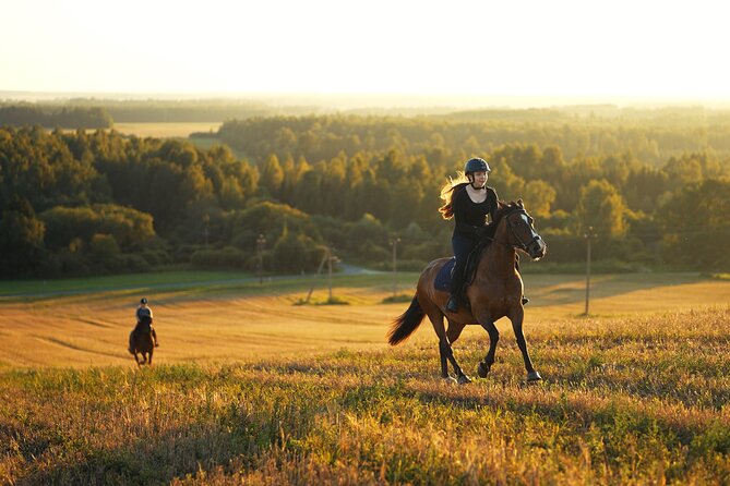 Horseback Riding in the Landscape - Grooming and saddling your horse