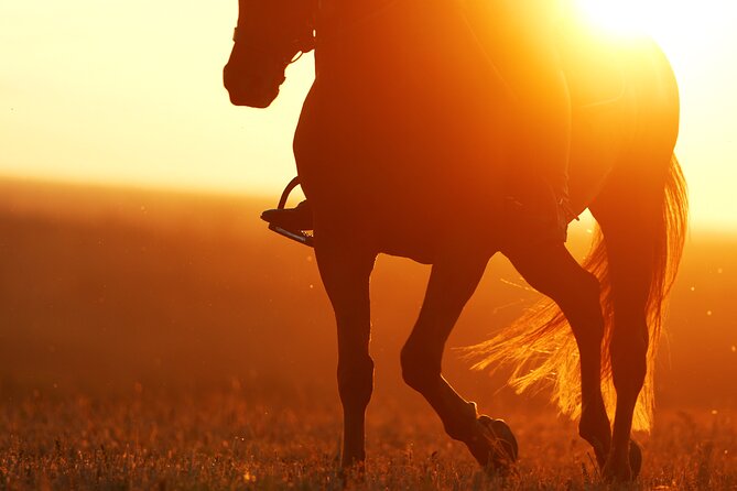 Horseback Riding in the Landscape - What the three-hour timing really means