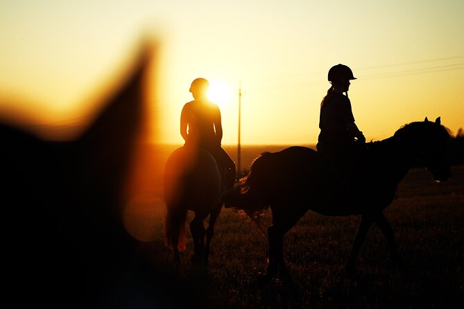 Horseback Riding in the Landscape - Coffee, snacks, and time after the ride