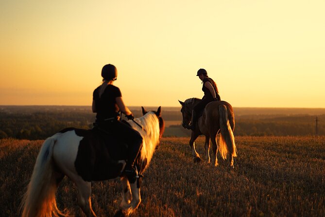 Horseback Riding in the Landscape - Is $93.49 a fair price?