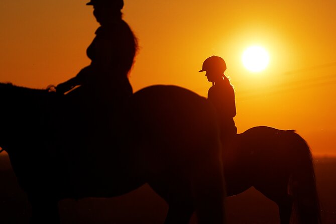 Horseback Riding in the Landscape - Who will enjoy this ride most?