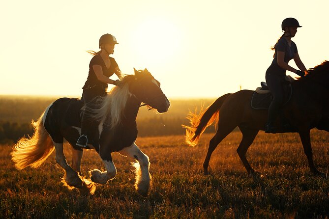Horseback Riding in the Landscape - Practical details before you book