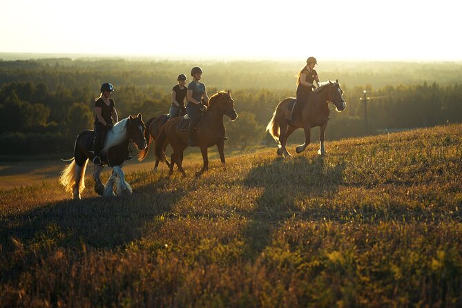 Horseback Riding in the Landscape - Riding through fields and forests
